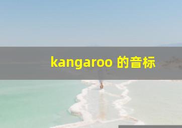 kangaroo 的音标